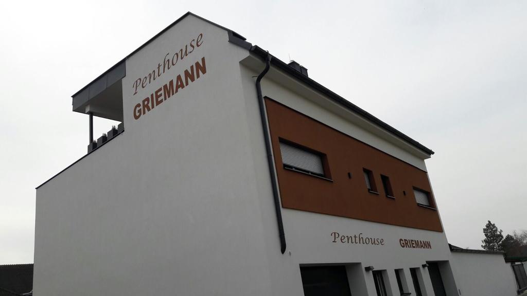Penthouse Griemann 2 Fuer Max 4 Personen Mit Eigener Grosser Dachterrasse Zum Relaxen! Ильмиц Экстерьер фото